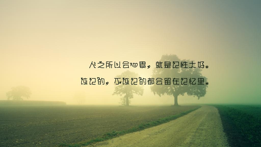 若懂,多好(诗歌)