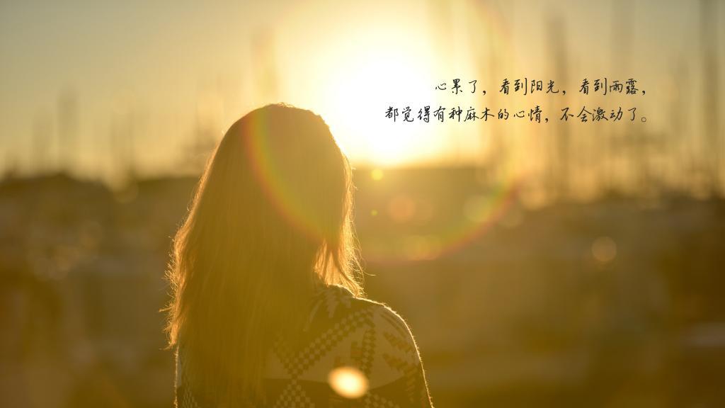 校花的报复