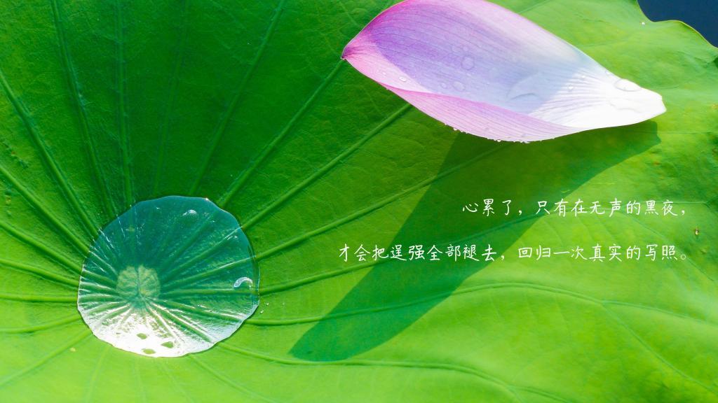如果恋爱是条直行线