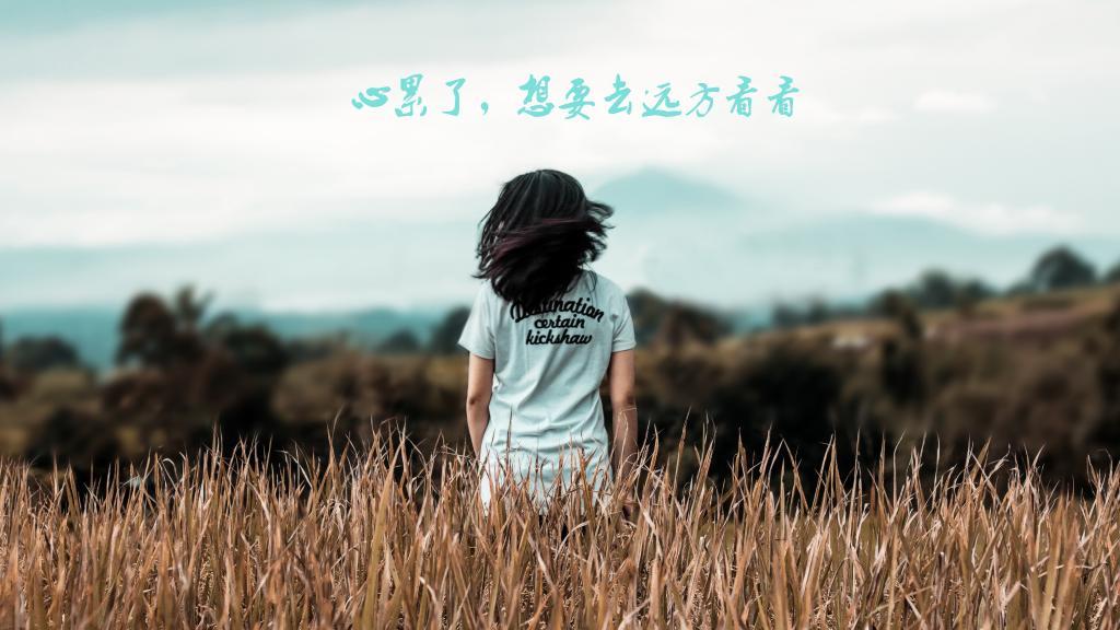无烟商场