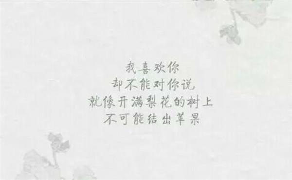 念起，在那一帘雨雾中