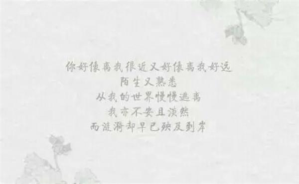 我和你都深深嵌在这个世界当中