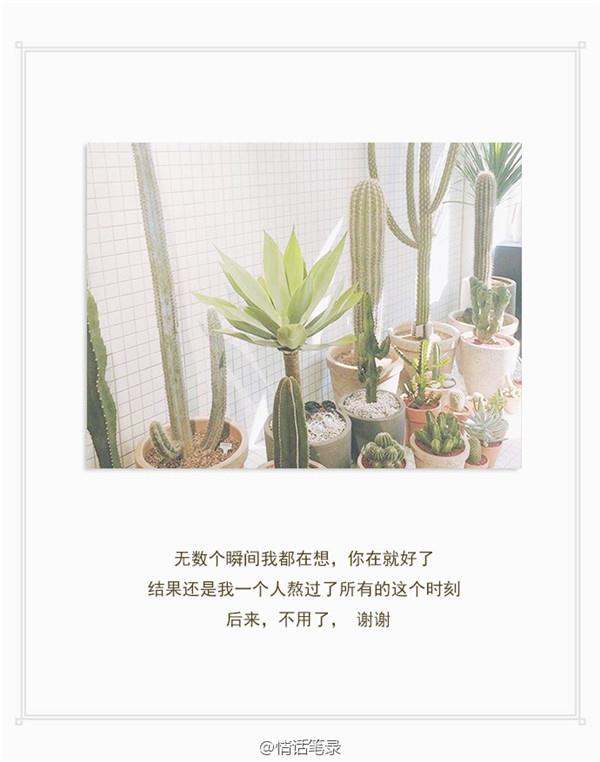 请刷新你的记忆卡