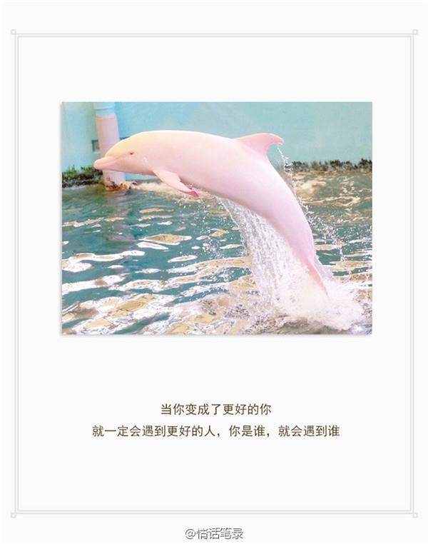 关于曾国藩名言句子·曾国藩一句话