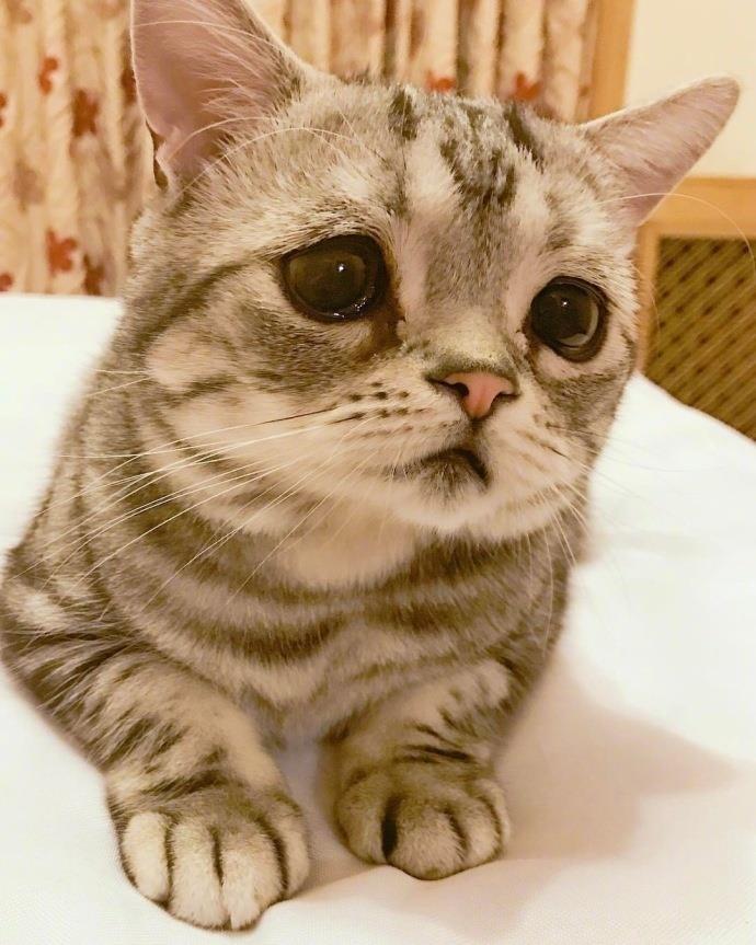 家乡的鱼