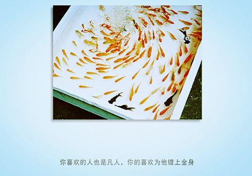 等到你， 就等不了别人了