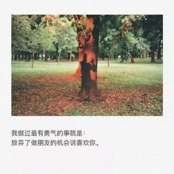 爱情没有天道酬勤