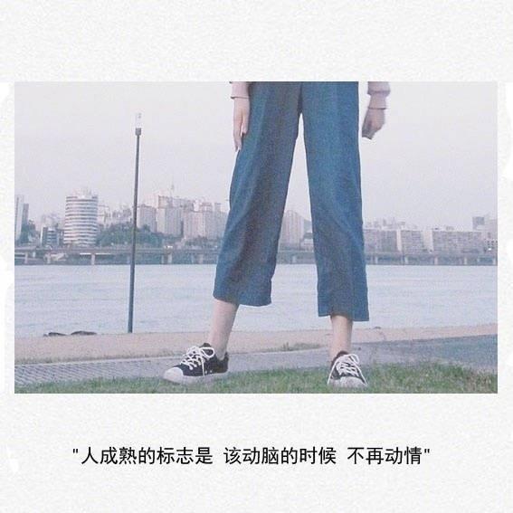 狂恋大提琴