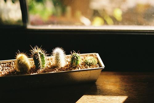 复制和粘贴